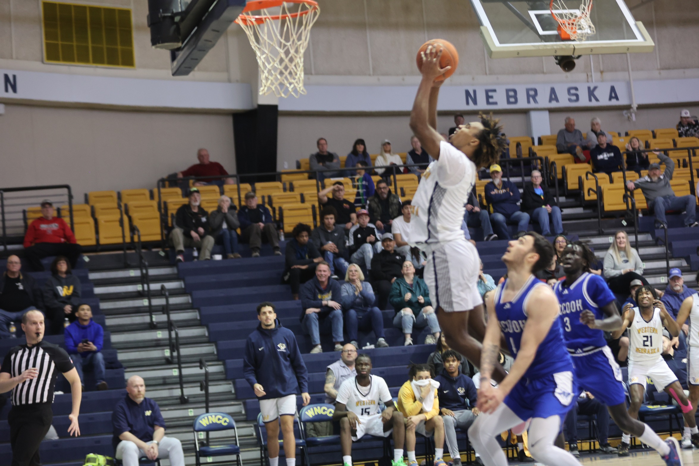 Going for a dunk. 