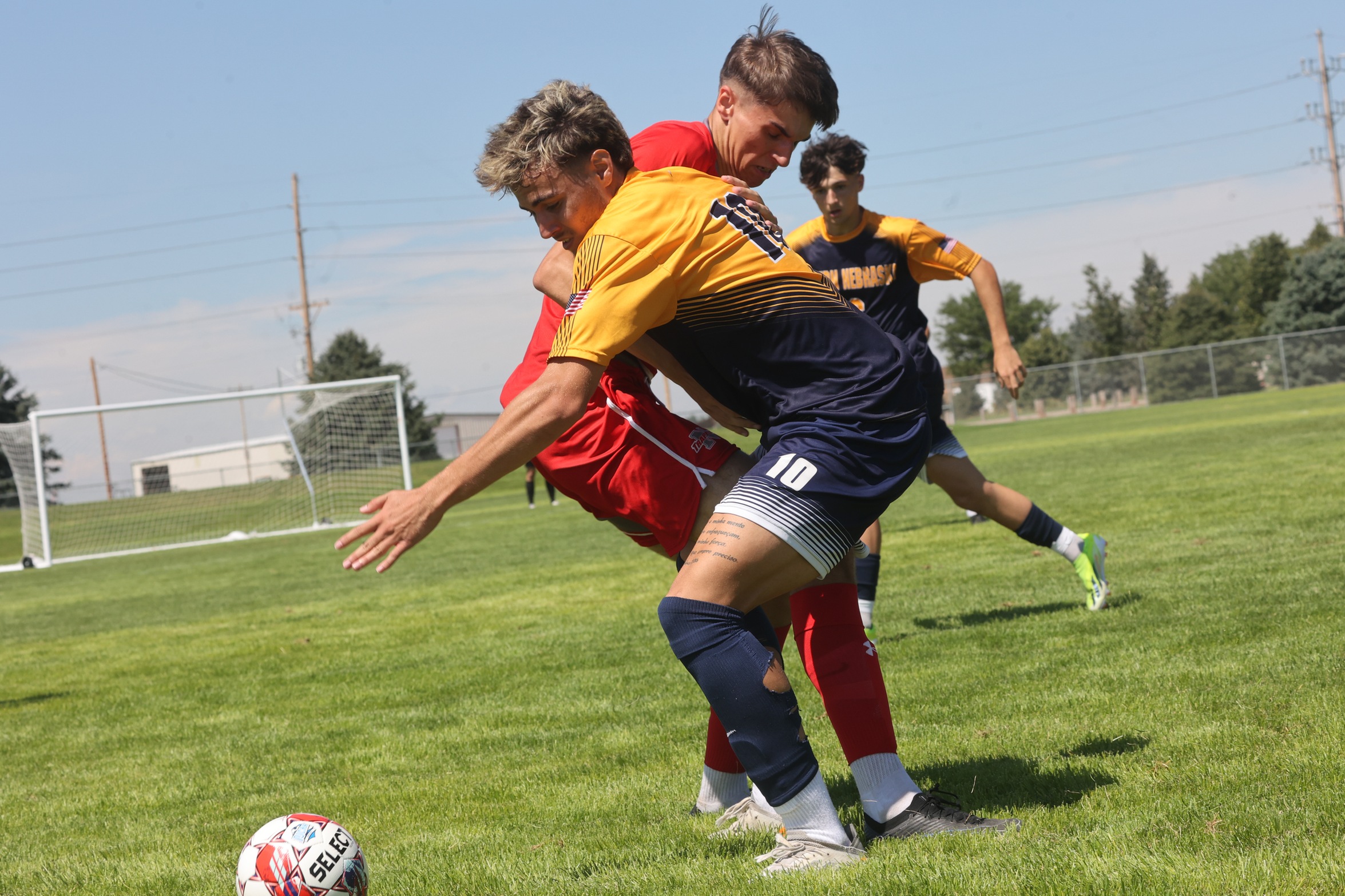Action against Northwest in August