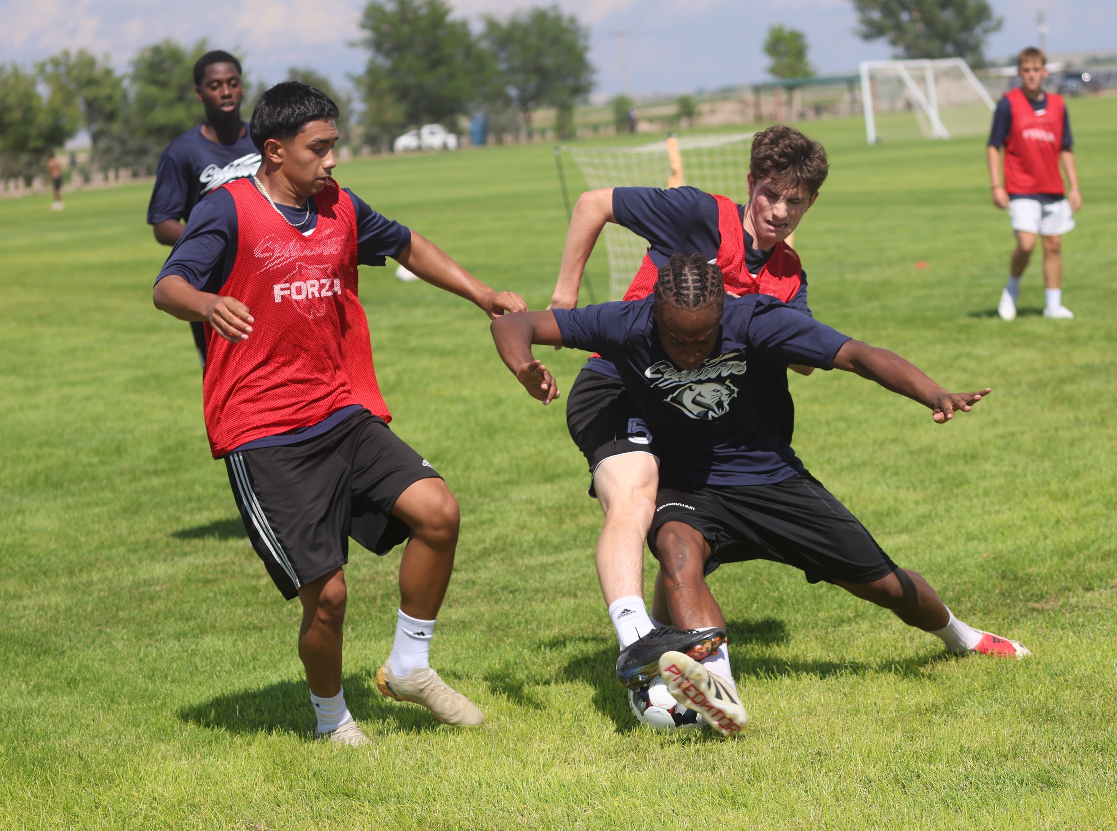 Practice in the first week of pre-season.