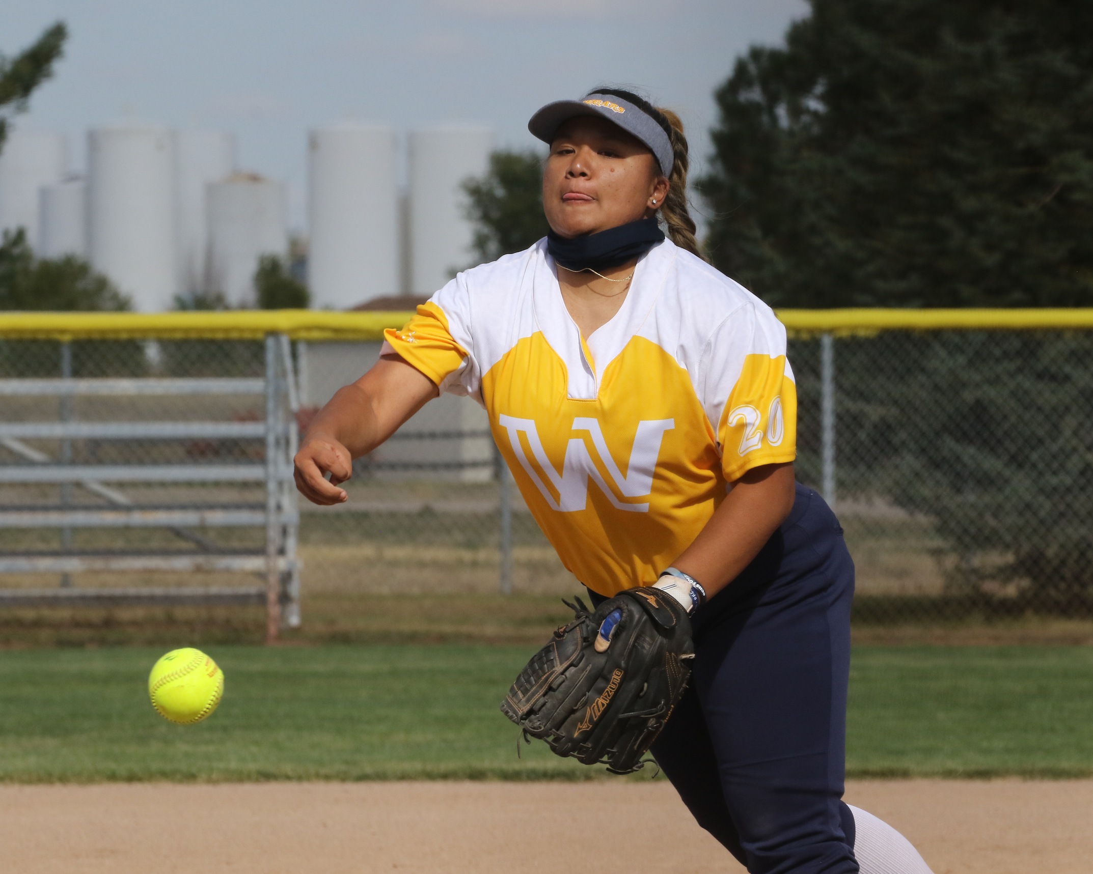 WNCC softball splits with Luna