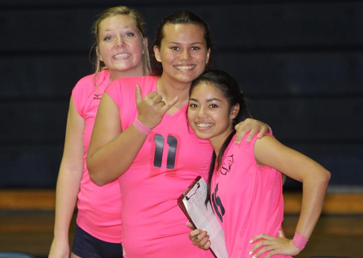 WNCC holds PAWzitively Pink breast cancer awareness day during NJC volleyball match Wednesday