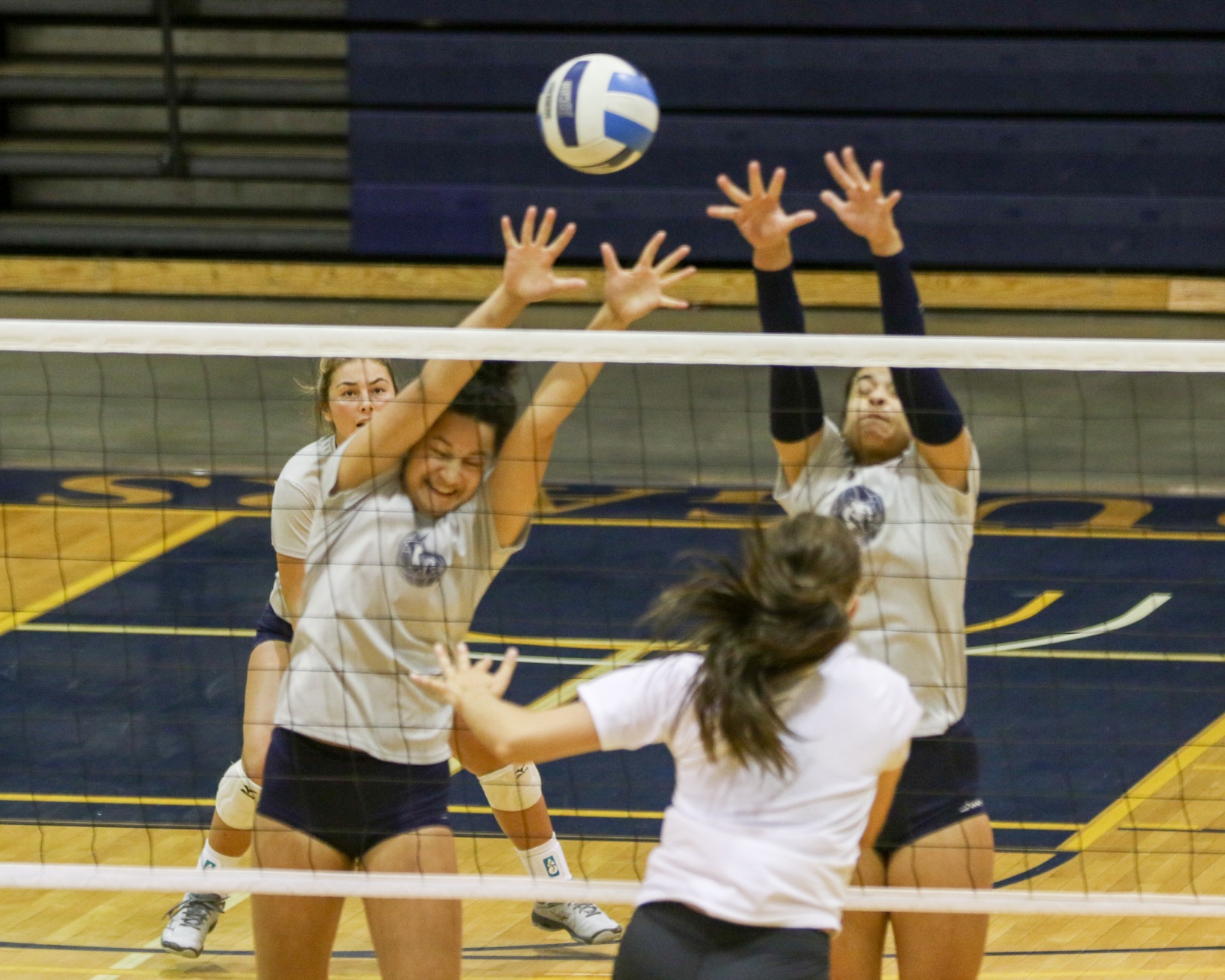 WNCC volleyball team ranked in top 5 of pre-season polls