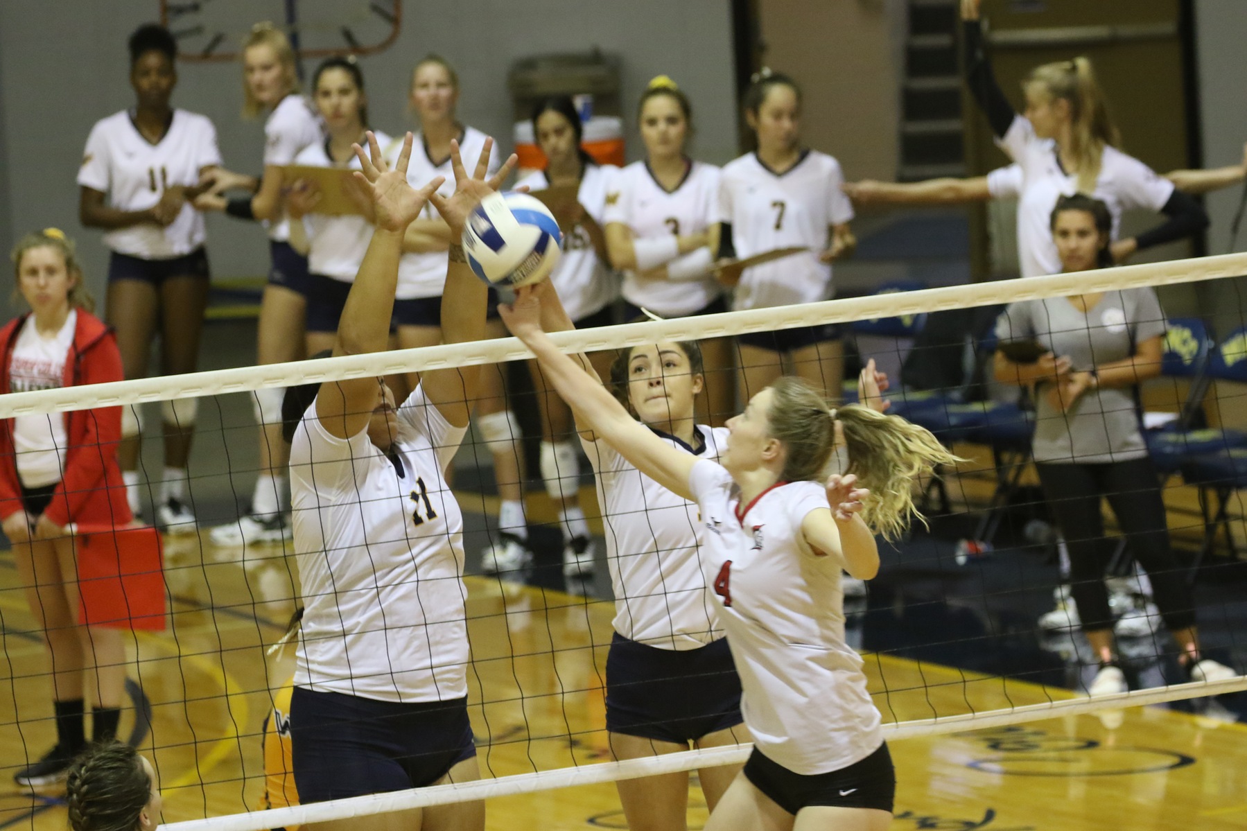 WNCC volleyball team goes 4-1 in WyoBraska Invite