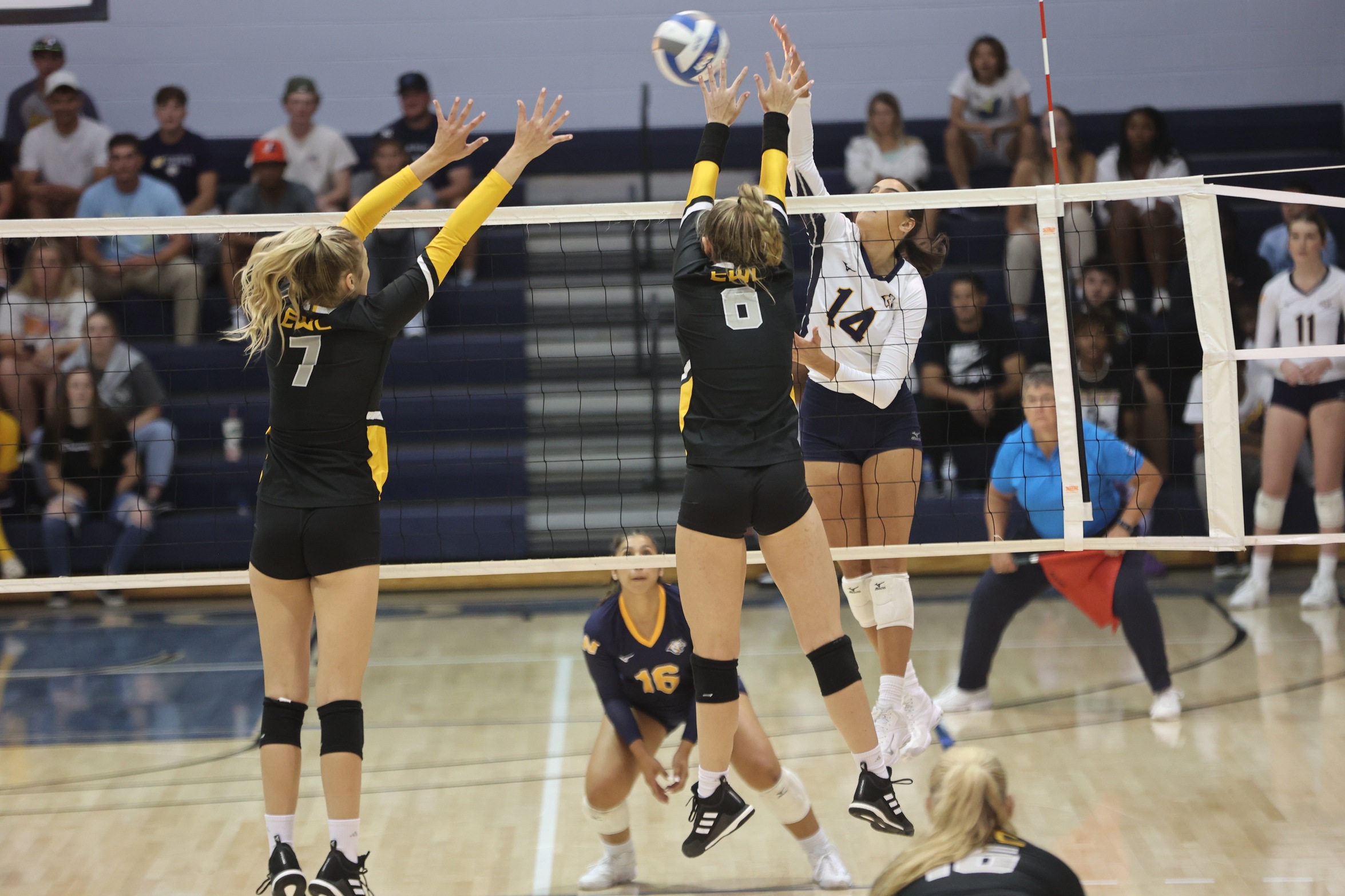 Erica Fava for a kill.