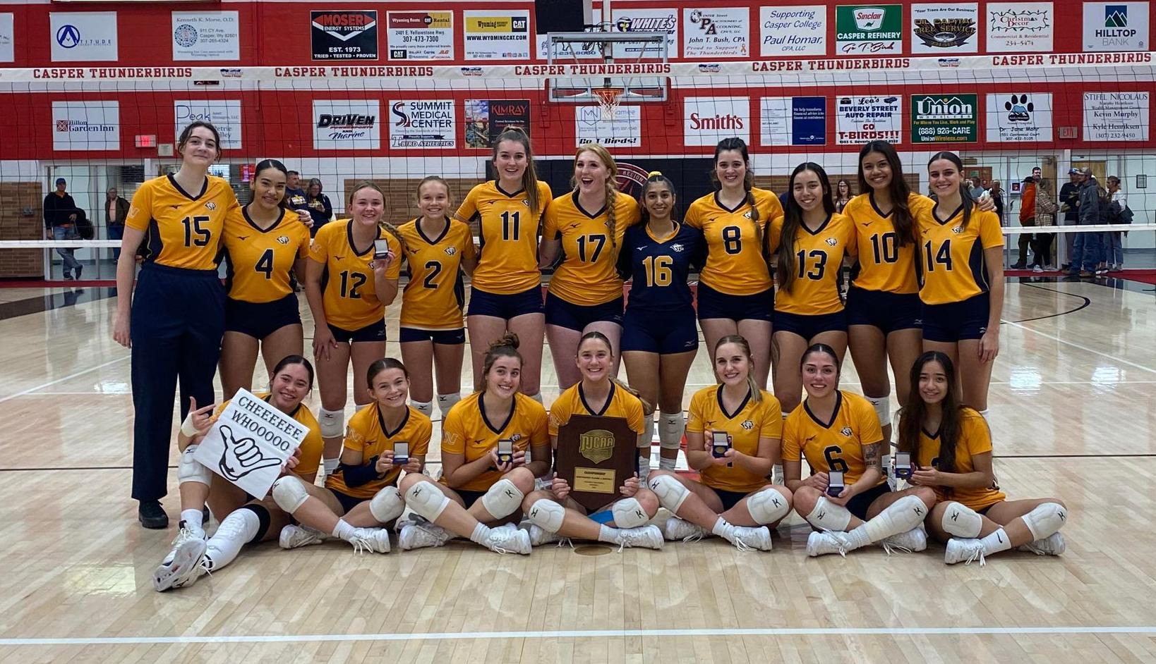 Volleyball is Region IX Champs