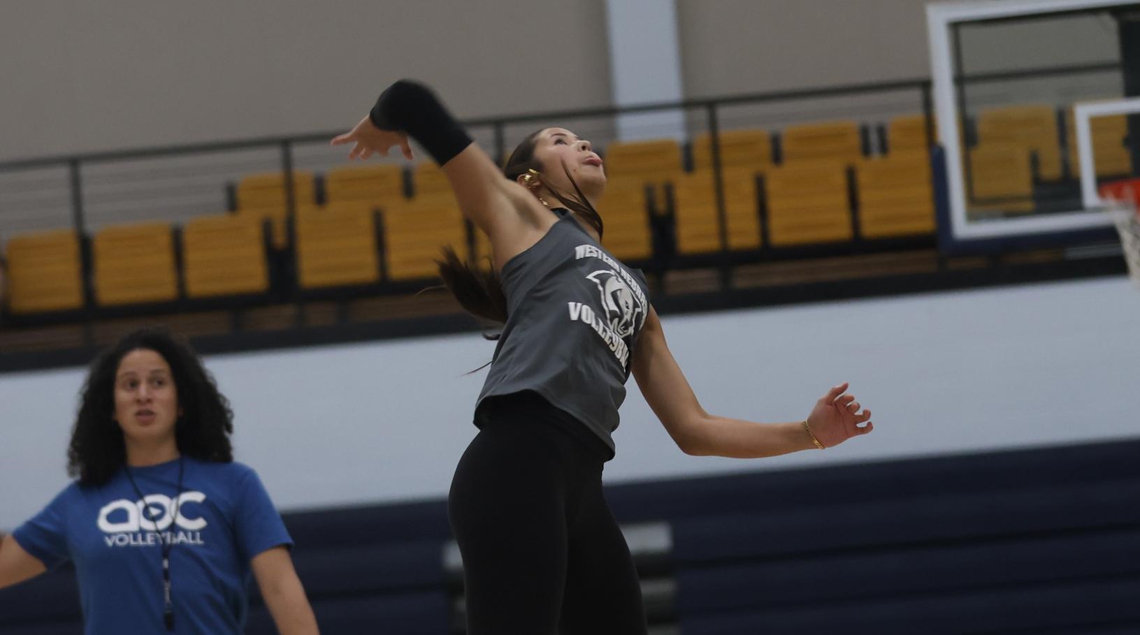 Cougars at practice in August.